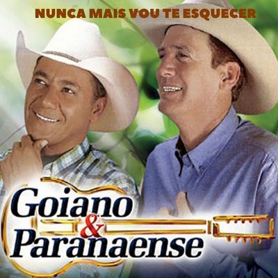Nunca Mais Vou Te Esquecer By Goiano & Paranaense's cover