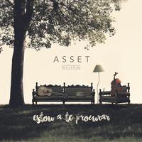 Asset Worship's avatar cover