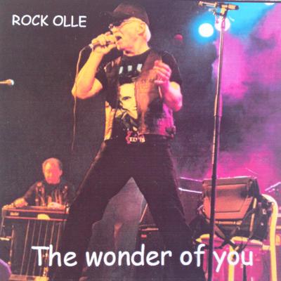 The Wonder Of You's cover