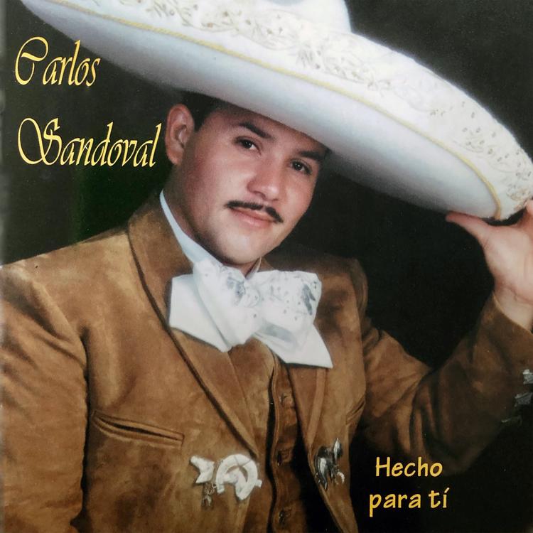 Carlos Sandoval's avatar image