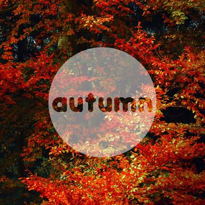 Autumn Leaves By Ed Sheeran's cover