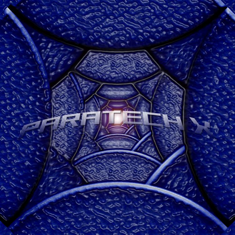 ParatechX's avatar image