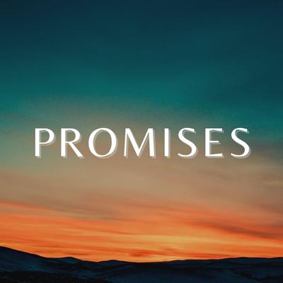 Promises (Instrumental)'s cover