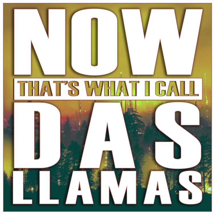 Das Llamas's avatar image