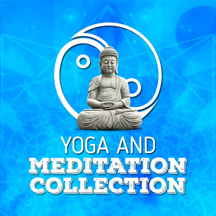 Yoga and Meditation's avatar image