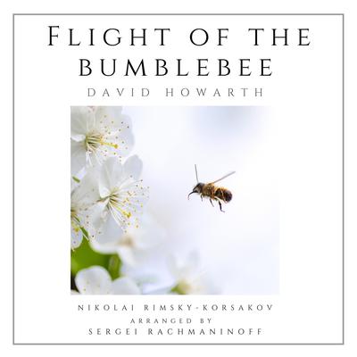 Flight of the Bumblebee (Solo Piano) By David Howarth, Nikolai Rimsky-Korsakov, Sergei Rachmaninoff's cover