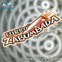 Forró Zabumbada's avatar cover