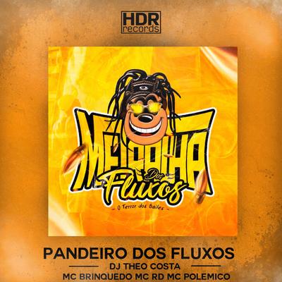 Pandeiro Dos Fluxos By MC Polemico, DJ Theo Costa, Mc RD, Mc Brinquedo's cover