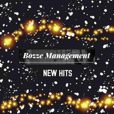 Bozze Management New Hits's cover