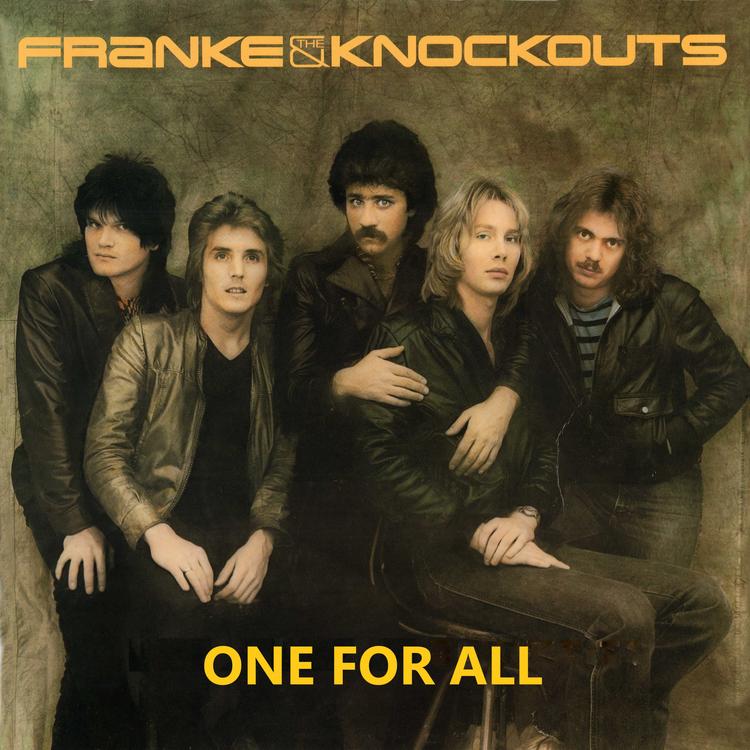 Franke & The Knockouts's avatar image