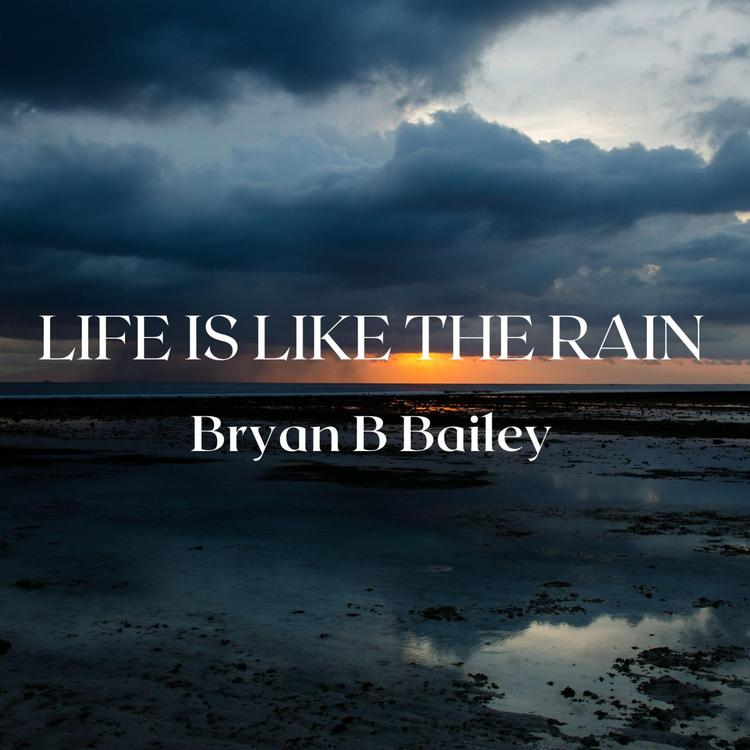 Bryan B Bailey's avatar image