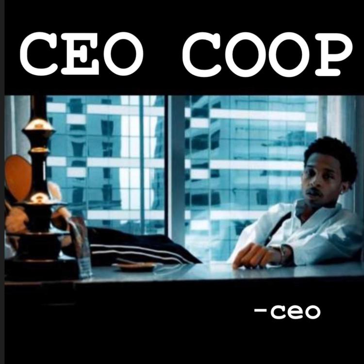 Ceo Coop's avatar image