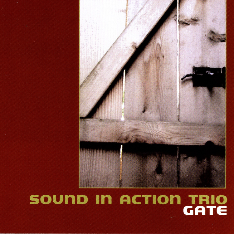 Sound In Action Trio's avatar image