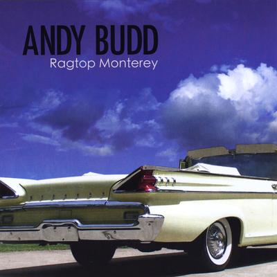 Andy Budd's cover