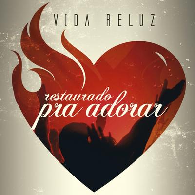 Transbordará By Vida Reluz's cover
