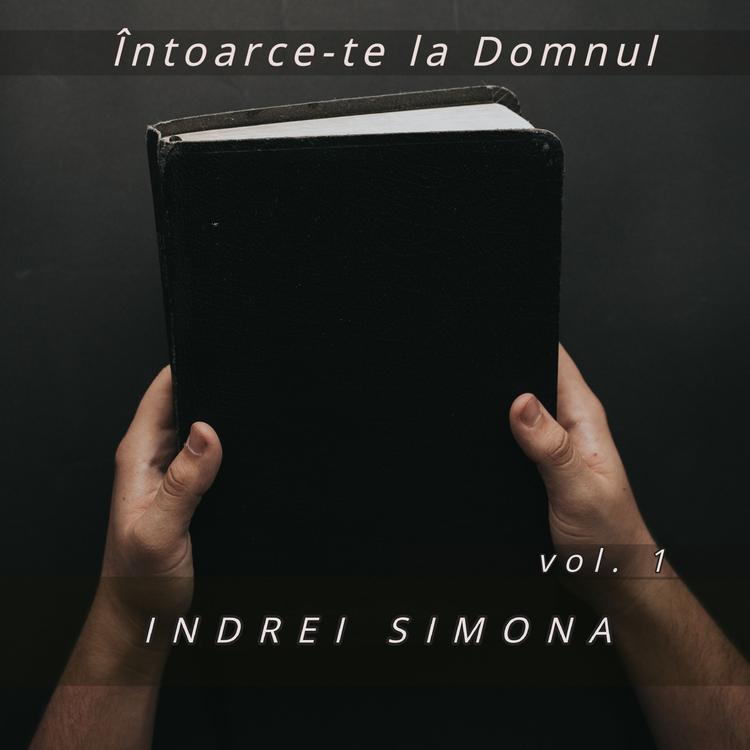 Indrei Simona's avatar image