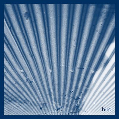 Bird By Elephant Tree's cover