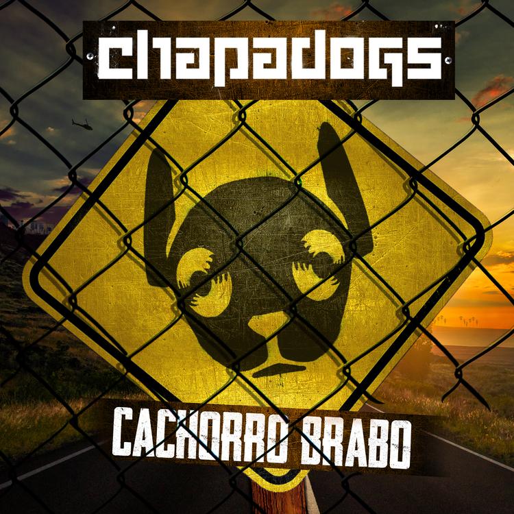 Chapadogs's avatar image