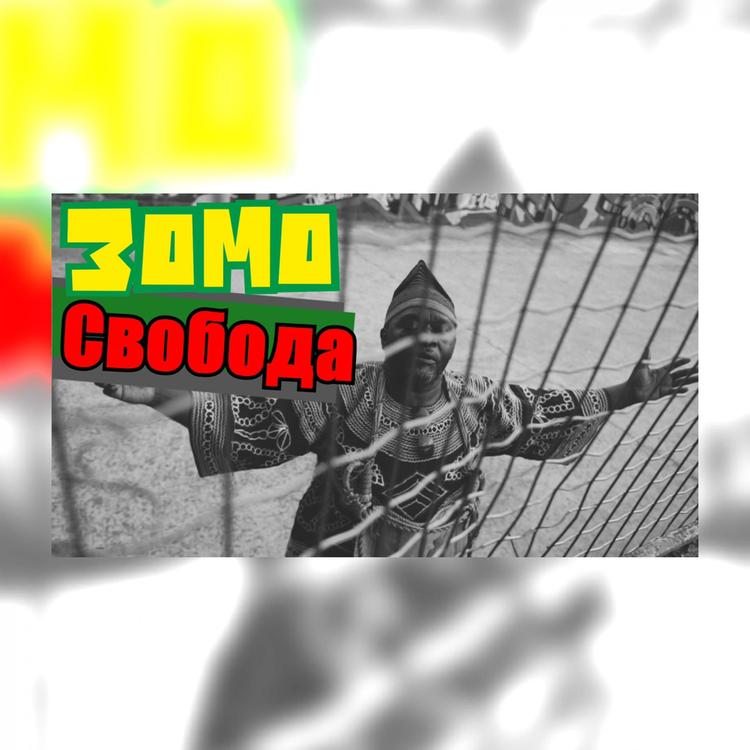 Зомо Талисман's avatar image