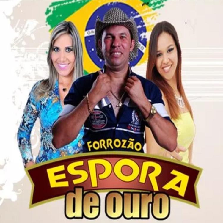 Forrozão Espora de Ouro's avatar image