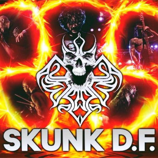 SKUNK DF's avatar image