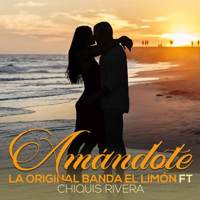 Amandote By La Original Banda El Limón de Salvador Lizárraga, Chiquis's cover