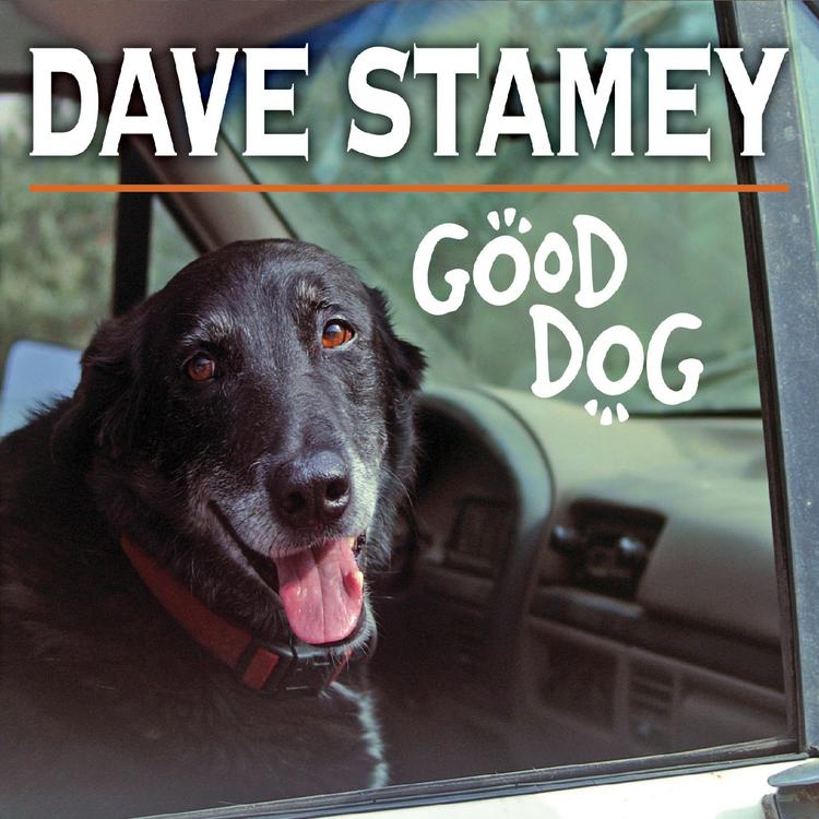 Dave Stamey's avatar image