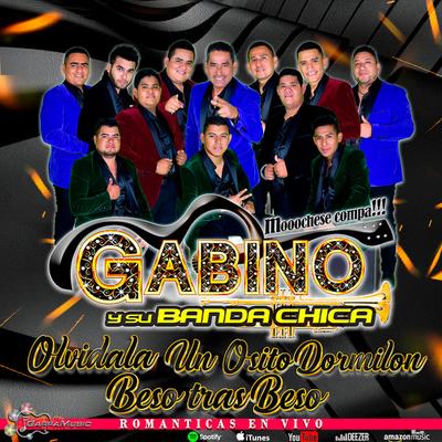 Gabino y su Banda Chica's cover