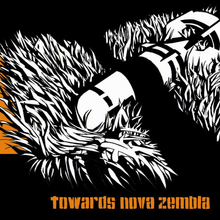 Towards Nova Zembla Collective's avatar image