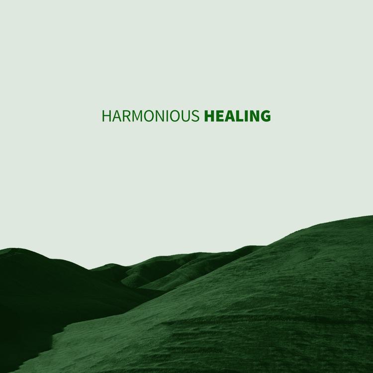 Healing Music 2015's avatar image