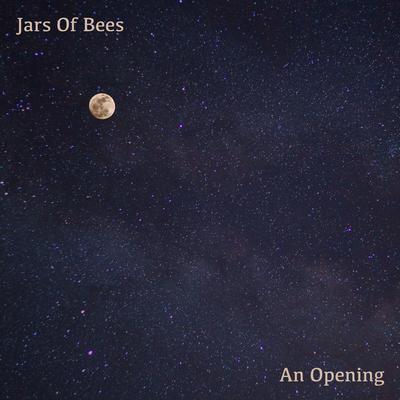 Wandering By Jars Of Bees's cover