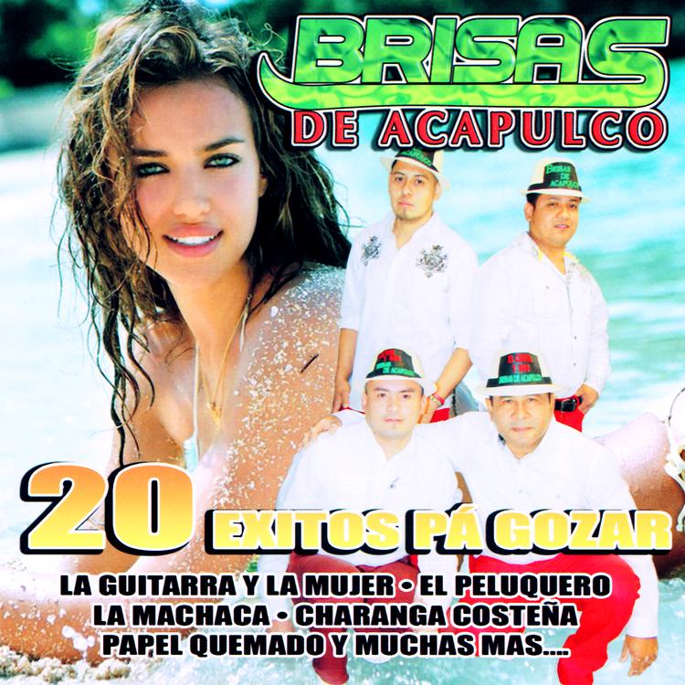 Brisas De Acapulco's avatar image
