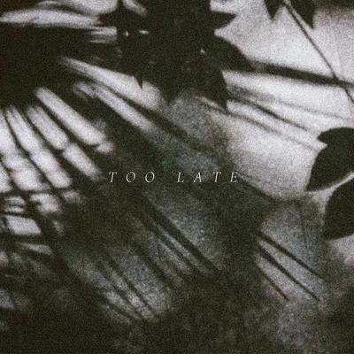 Too Late's cover