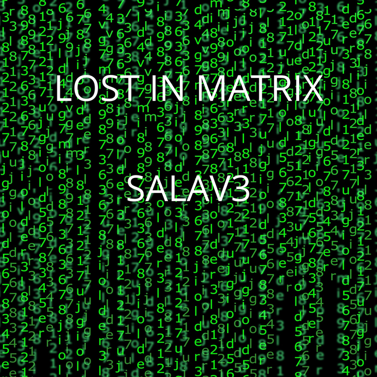 SALAV3's avatar image