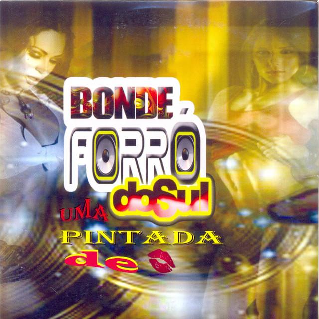 Bonde Forró do Sul's avatar image