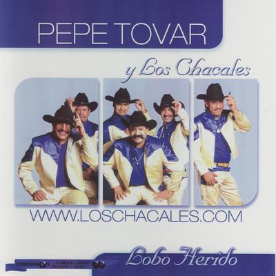 Pobre Bohemio By Los Chacales de Pepe Tovar, Los Chacales's cover