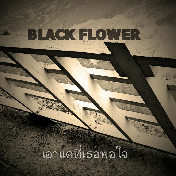 Black Flower's avatar image