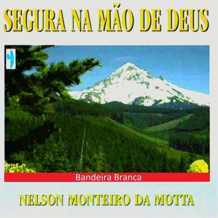 Nelson Monteiro da Motta's avatar image
