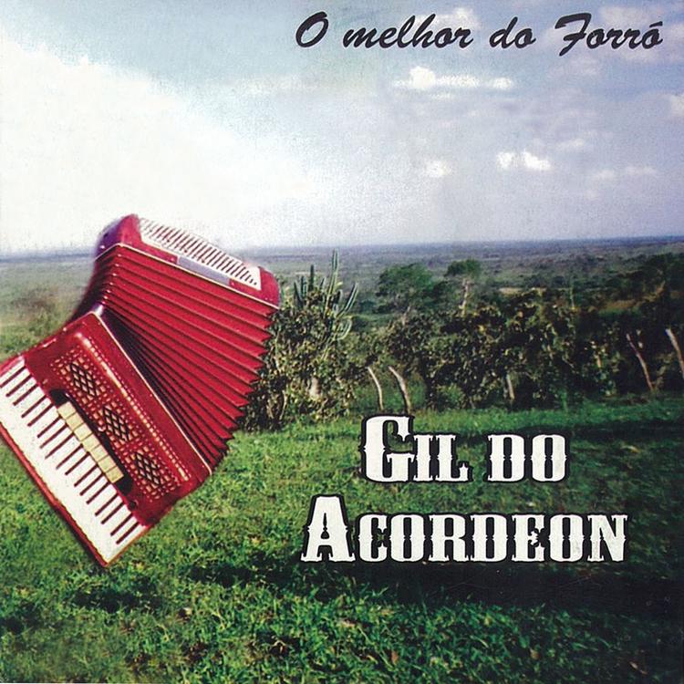 Gil do Acordeon's avatar image