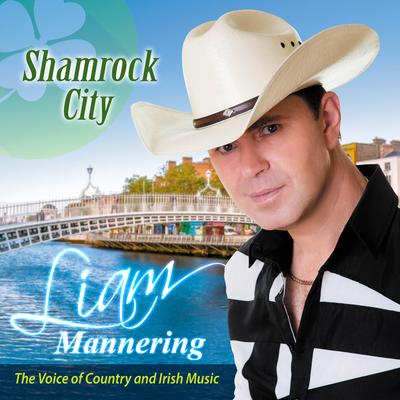 The Lights of Rosslare Harbour By Liam Mannering's cover