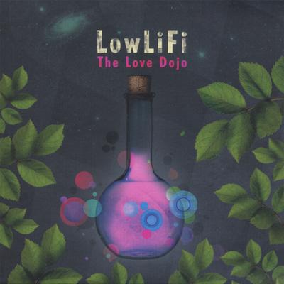 LowLiFi's cover