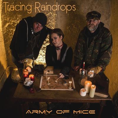 Tracing Raindrops's cover