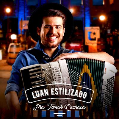 Vida de Vaqueiro By Luan Estilizado's cover