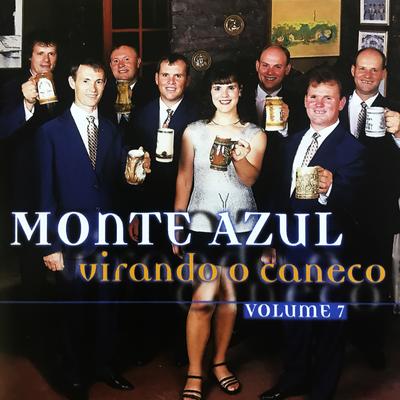 Quando o Verão Voltar By Monte Azul's cover