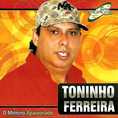 Amanhã Não Serei Mais By Toninho Ferreira's cover