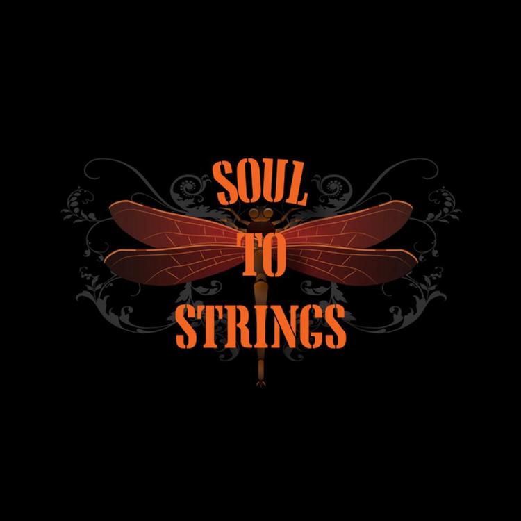 Soul To Strings's avatar image