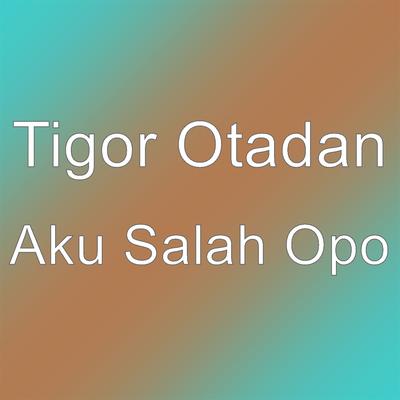 Aku Salah Opo's cover