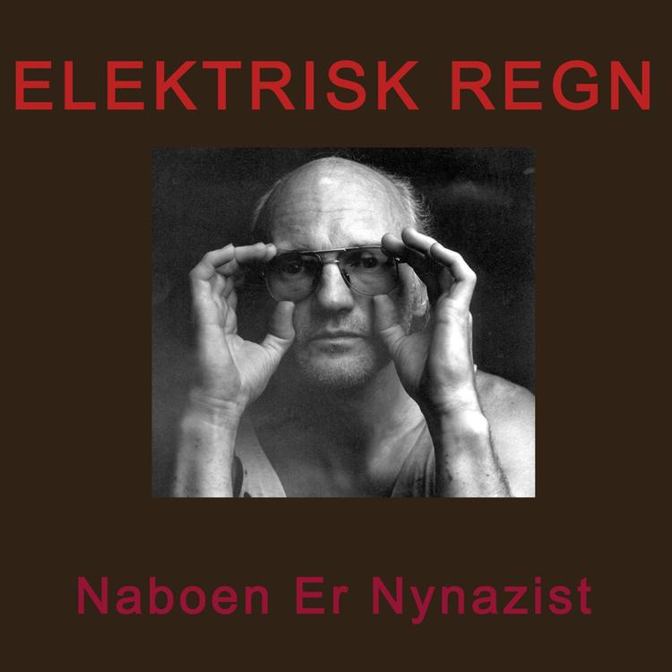 Elektrisk Regn's avatar image