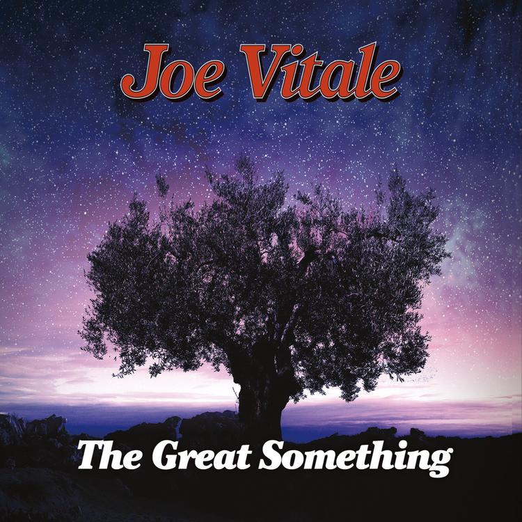 Joe Vitale's avatar image