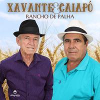 Xavante & Caiapó's avatar cover
